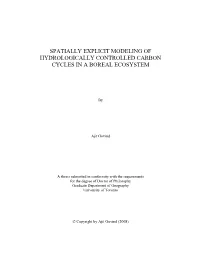 Spatially Explicit Modeling of Hydrologically Controlled Carbon Cycles in a Boreal Ecosystem
