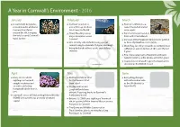 A Year in Cornwall's Environment