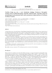 Crustacea: Decapoda: Atyidae