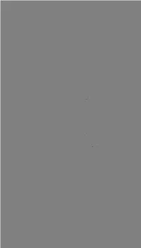 Dundee Directory
