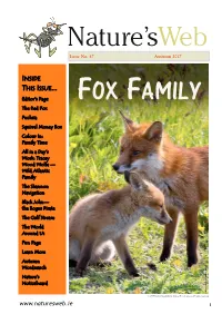 Inside This Issue