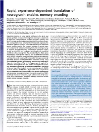 Rapid, Experience-Dependent Translation of Neurogranin Enables Memory Encoding