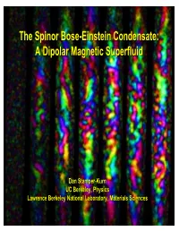 The Spinor Bose-Einstein Condensate: a Dipolar Magnetic Superfluid