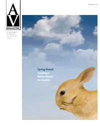 Creating a Better World for Rabbits