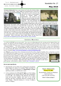 Newsletter No. 17