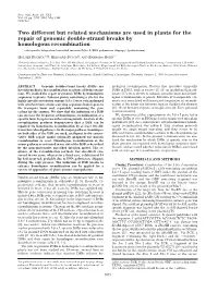 Two Different but Related Mechanisms Are Used in Plants for the Repair Of