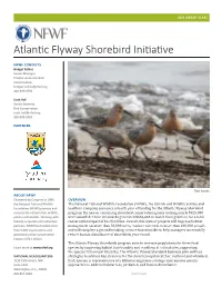 Atlantic Flyway Shorebird Initiative
