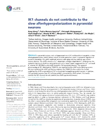 IK1 Channels Do Not Contribute to the Slow Afterhyperpolarization In