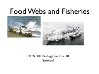 Food Webs and Fisheries