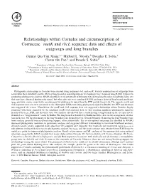 Relationships Within Cornales and Circumscription of Cornaceae—Matk and Rbcl Sequence Data and Eﬀects of Outgroups and Long Branches