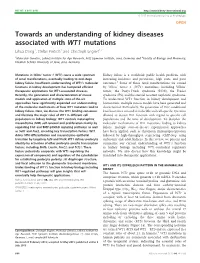 Towards an Understanding of Kidney Diseases Associated with WT1 Mutations Lihua Dong1, Stefan Pietsch1 and Christoph Englert1,2