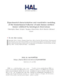Experimental Characterization and Constitutive Modeling of the Biomechanical Behavior of Male Human Urethral Tissues Validated B