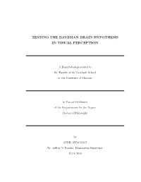 Testing the Bayesian Brain Hypothesis in Visual Perception