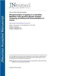 Phosphorylation of Gephyrin in Zebrafish Mauthner Cells Governs