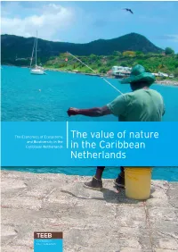 The Value of Nature in the Caribbean Netherlands