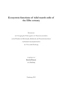 Ecosystem Functions of Tidal Marsh Soils of the Elbe Estuary