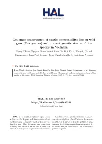Genomic Conservation of Cattle Microsatellite Loci in Wild Gaur (Bos Gaurus) and Current Genetic Status of This Species in Vietnam
