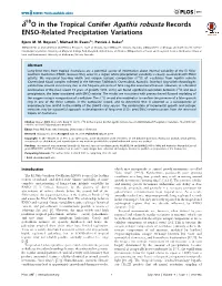 O in the Tropical Conifer Agathis Robusta Records ENSO-Related Precipitation Variations