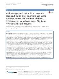 Viral Metagenomics of Aphids Present in Bean and Maize Plots on Mixed