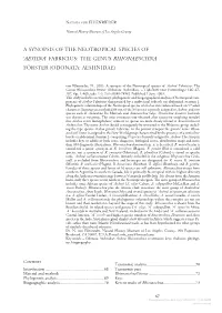 A Synopsis of the Neotropical Species of 'Aeshna