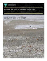 Antelope and Triple B Complexes Gather Plan EA