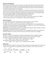 Bacterial ATP Synthesis Bacterial Biosynthetic Pathways Are Similar to Each Other