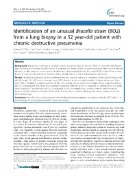 Identification of an Unusual Brucella Strain