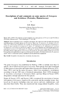 Descriptions of and Comments on Some Species of Octospora and Kotlabaea (Pezizales, Humariaceae)