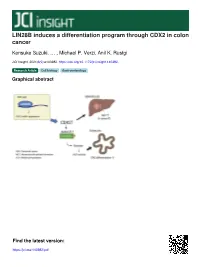 LIN28B Induces a Differentiation Program Through CDX2 in Colon Cancer