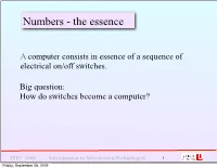 Numbers - the Essence