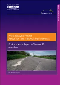 Wylfa Newydd Project A5025 On-Line Highway