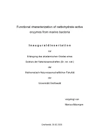 Functional Characterization of Carbohydrate-Active Enzymes from Marine Bacteria