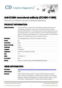 Anti-ICAM4 Monoclonal Antibody (DCABH-11966) This Product Is for Research Use Only and Is Not Intended for Diagnostic Use