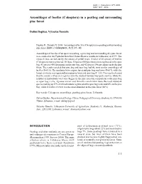 Assemblages of Beetles (Coleoptera) in a Peatbog and Surrounding Pine Forest