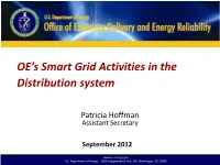 OE's Smart Grid Activities in the Distribution System