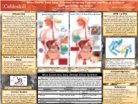 A Review of Normal Function and Role of Gastrin in Zollinger-Ellison