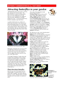 Attracting Butterflies to Your Garden Revised Feb07.Pub