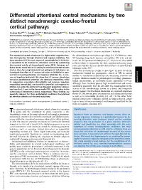 Differential Attentional Control Mechanisms by Two Distinct Noradrenergic Coeruleo-Frontal Cortical Pathways