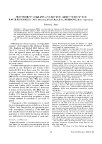 ELECTRORETINOGRAMS and RETINAL STRUCTURE of the EASTERN SCREECH OWL &Lpar;&lt;I&gt;Otus Asio&lt;/I&gt;&Rpar; and GREAT H