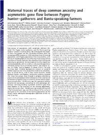 Maternal Traces of Deep Common Ancestry and Asymmetric Gene Flow Between Pygmy Hunter–Gatherers and Bantu-Speaking Farmers