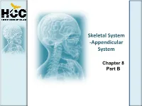 Skeletal System -Appendicular System