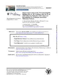 Molecular Pattern Recognition of A