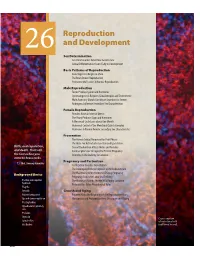 26 Reproduction and Development