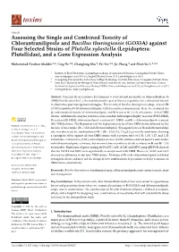 Assessing the Single and Combined Toxicity of Chlorantraniliprole And