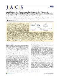 Identification of a Thioesterase Bottleneck in the Pikromycin Pathway Through Full-Module Processing of Unnatural Pentaketides