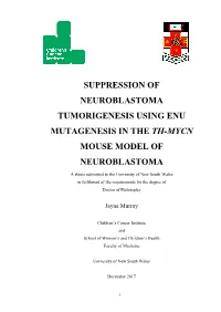 Suppression of Neuroblastoma Tumorigenesis Using Enu Mutagenesis in the Th-Mycn Mouse Model of Neuroblastoma