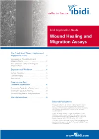Application Guide "Wound Healing and Migration Assays"