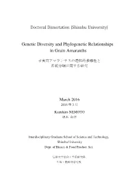 Genetic Diversity and Phylogenetic Relationships in Grain Amaranths