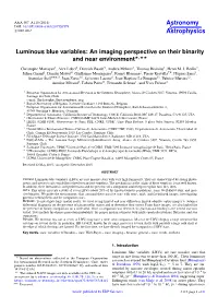 Luminous Blue Variables: an Imaging Perspective on Their Binarity and Near Environment?,??