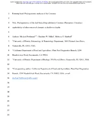 Phylogenomics of the Leaf-Footed Bug Subfamily Coreinae (Hemiptera: Coreidae)